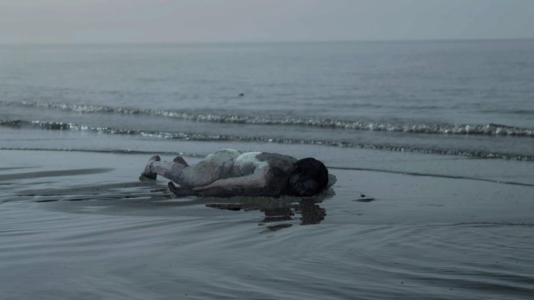 Collection Title : Turtle